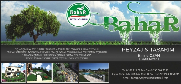 BAHAR PEYZAJ