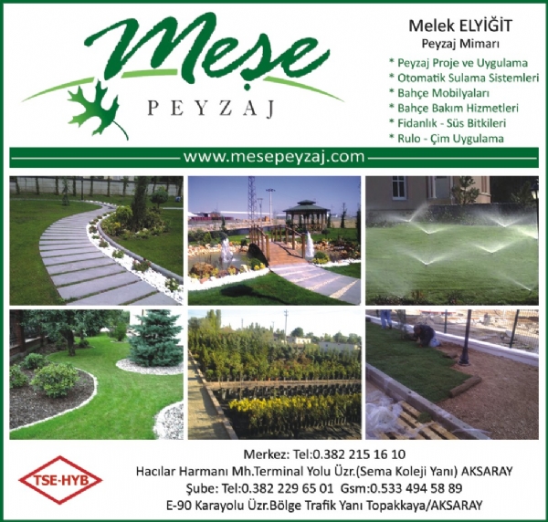 MEŞE PEYZAJ
