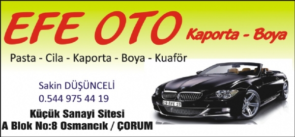 EFE OTO KAPORTA BOYA