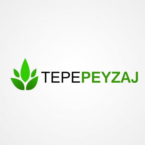 Tepe Peyzaj