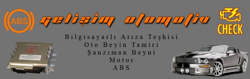 Gelişimoto