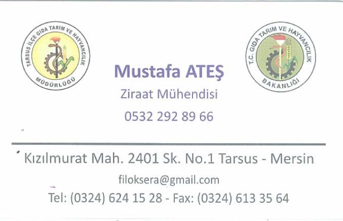 Mustafa ATEŞ