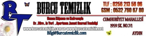 Burcutemizlik