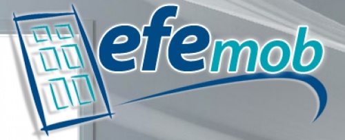 Efemob Mutfak-kapı San.