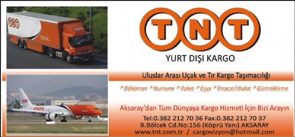 TNT YURT DIŞI KARGO