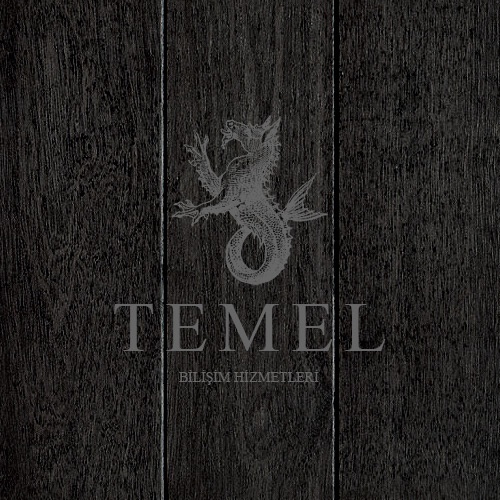 Temel Bilisim Hizmetleri