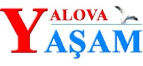 Yalova Yaşam Gazetesi