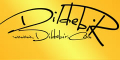 Dildebir Eğitim Ve Tercüme Merkezi