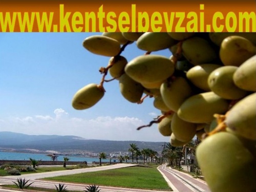 Kentsel Peyzaj