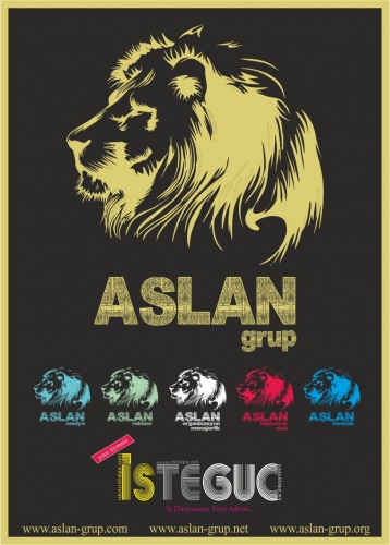 Aslan Grup(çekmeköy maallesi)