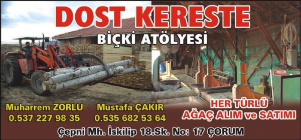 DOST KERESTE