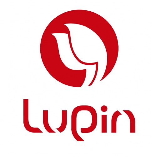 Lupın Travel(istanbul)