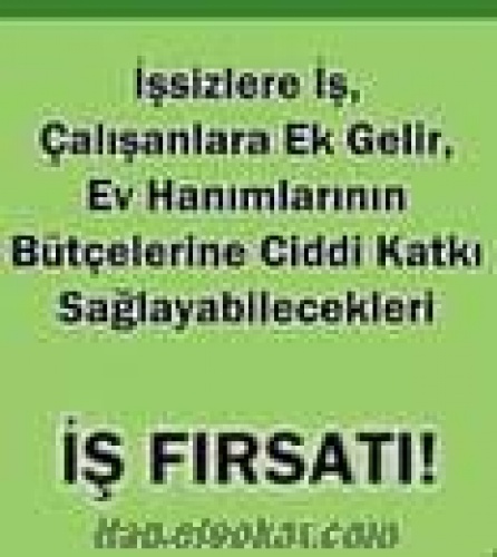 Lider Proje