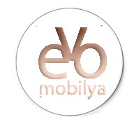 Evo Mobilya