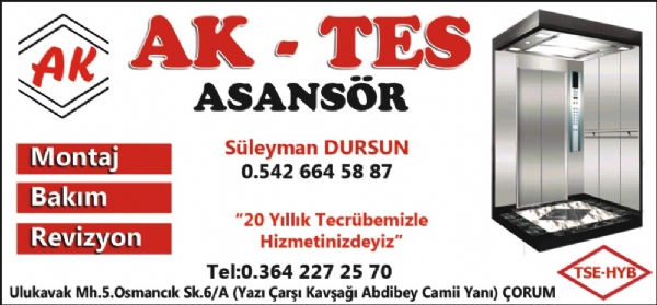 AK-TES ASANSÖR