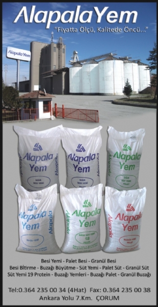 ALAPALA YEM