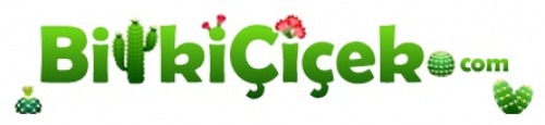 Bitkicicek.com