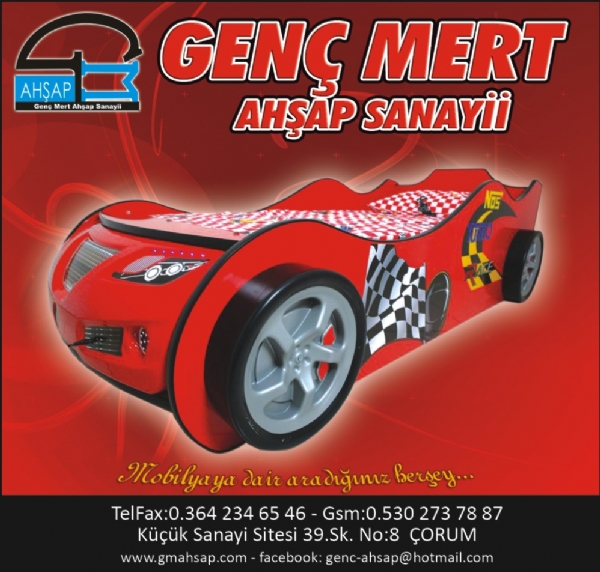 GENÇ MERT AHŞAP SANAYİ
