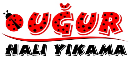 Uğur Hali Yikama(ÇAKIRLAR)