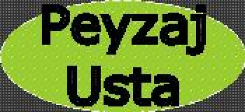 Peyzaj Usta Hazır Çim Üretim Ve Pazarlama
