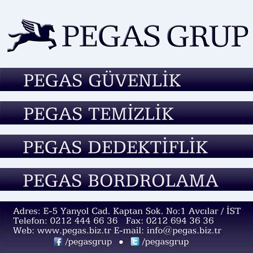 Pegas Güvenlik A.ş.