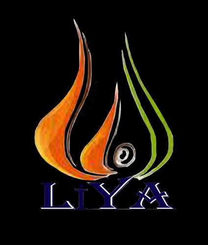 Liya Deri Çanta
