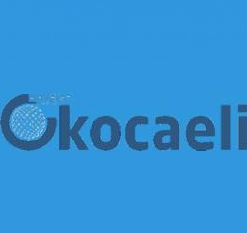 E Kocaeli Web Tasarımı