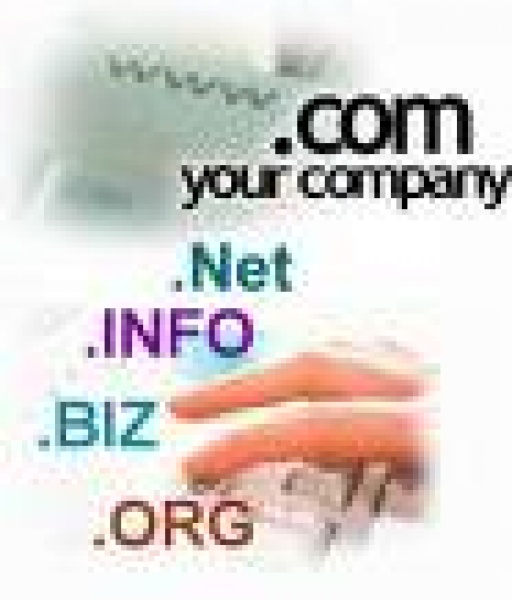 Domain Tescille Bilişim Ve İnternet Hizmetleri Ltd