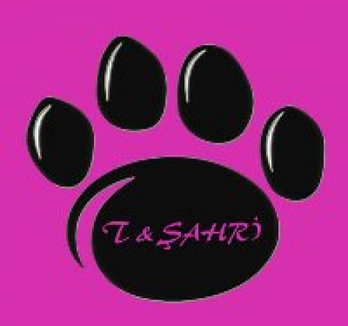 T&şahri Pet Aksesuar-şahri Deri Mamülleri