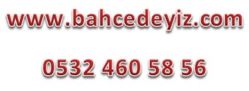 Www.bahcedeyiz.com