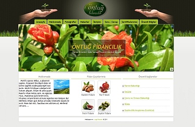 Rapsodi Çikolata Şekerleme Ve Gıda San. Ticaret Ltd. Şti