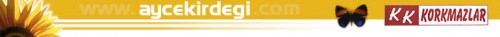 Ayçekirdeği Korkmazlar Ltd Şti
