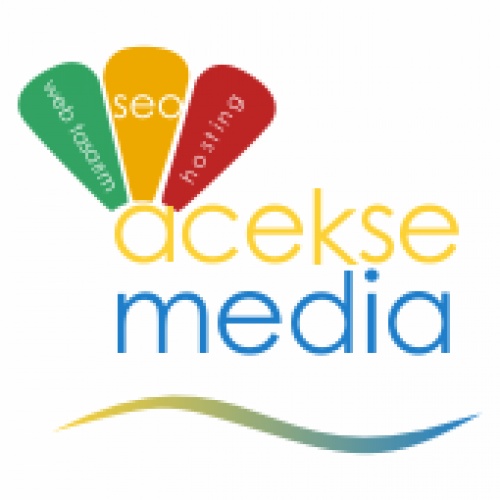 Web Tasarım, Seo, Acekse Media