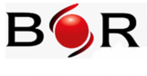 Bor Enerji İnş. Elektrik Müh. Taah. San. Ve Tic. Ltd. Şti.