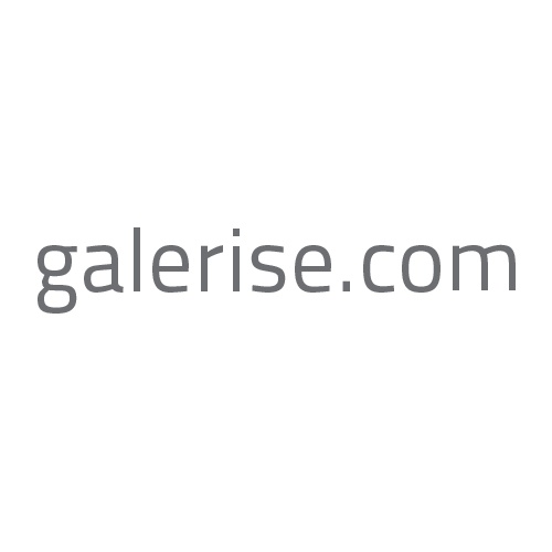 Galerise.com