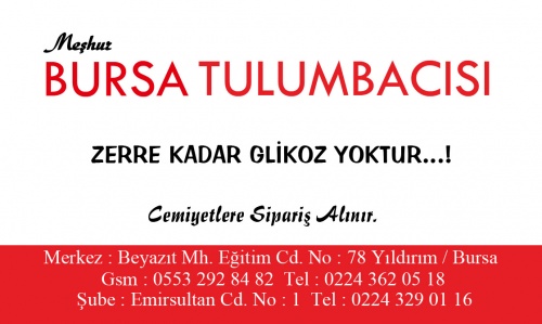Meşhur Bursa Tulumbacısı