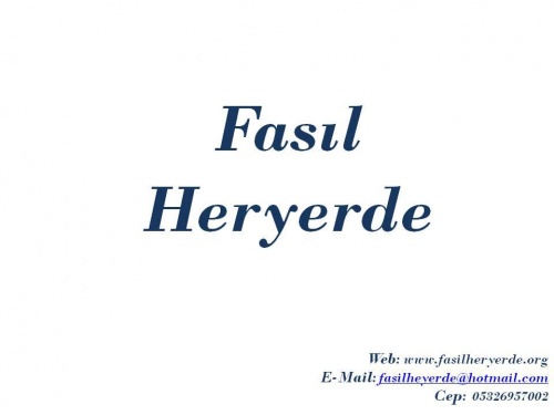 Fasıl Her Yerde Fasıl Grubu