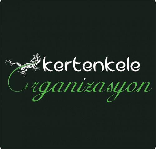 Kertenkele Organizasyon