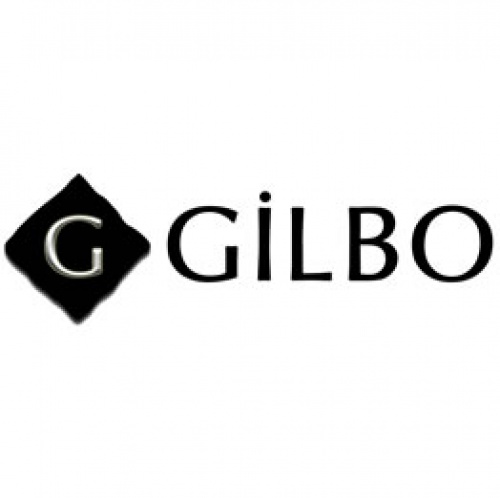 Gilbo Robot, Motor Ve Yazılım
