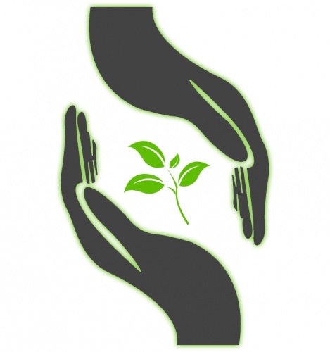 Tarimbaba.com