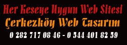 Çerkezköy Web Tasarım Hizmetleri