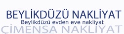Beylikdüzü Evden Eve Nakliyat