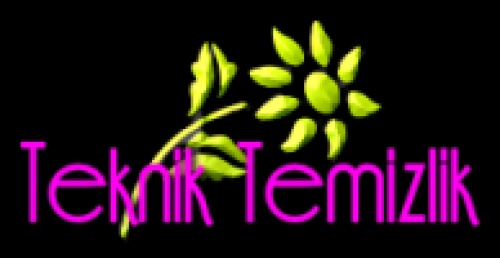 Teknik Temizlik