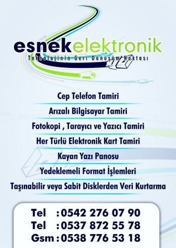 Esnek Elektronik