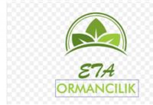 Eta Ormancılık