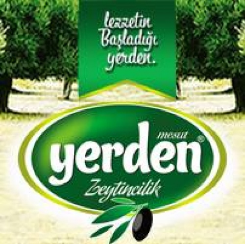 Yerden Zeytincilik