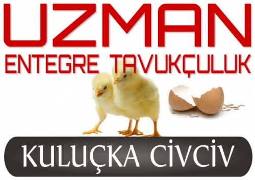 Uzman Entegre Tavukculuk A.ş