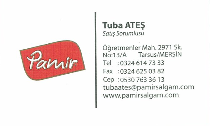 PAMİR