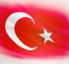 Adis Dış Tic Org Hizm.ltd.şti.