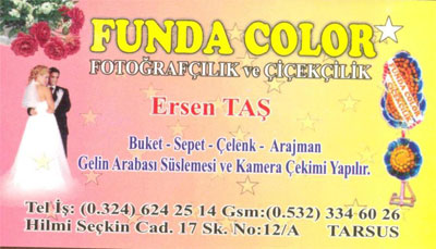 FUNDA COLOR 